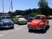 Beetle Show Rioz (16)